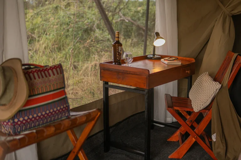 Intimate Zebra Camp โ photo 22