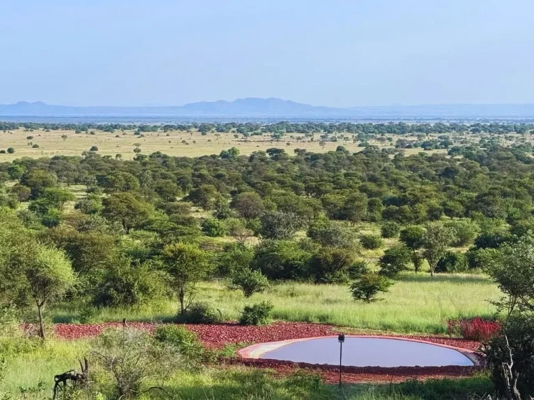 Kirawira Serena Camp โ photo 3