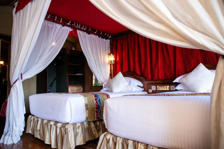 Kirawira Serena Camp โ photo 7