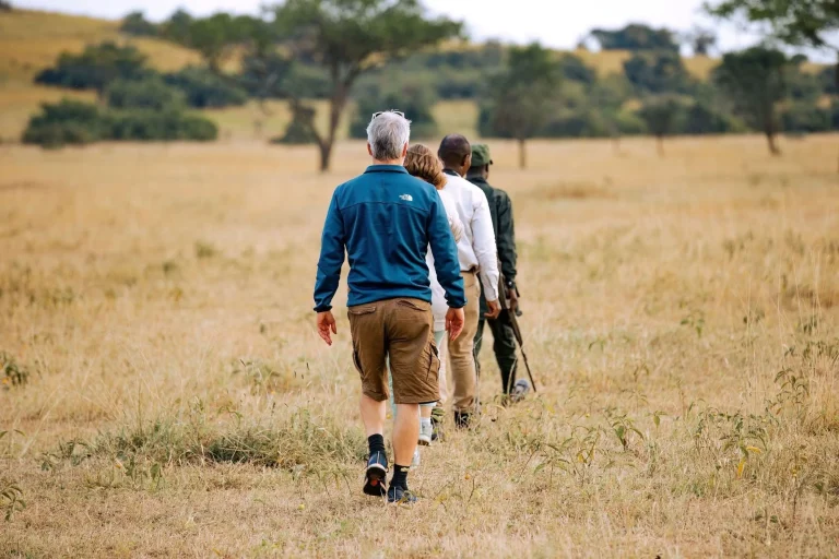 Kirawira Serena Camp โ photo 9