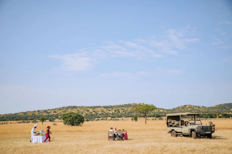 Kirawira Serena Camp โ photo 10