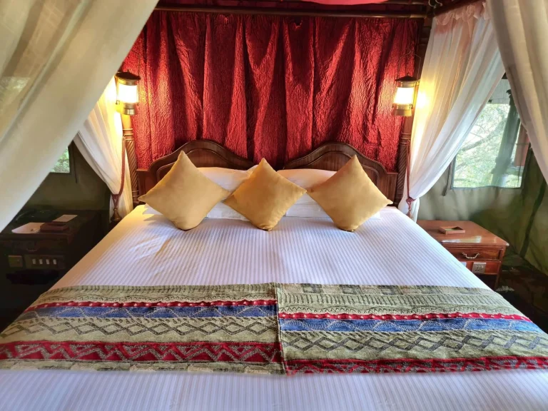 Kirawira Serena Camp โ photo 11