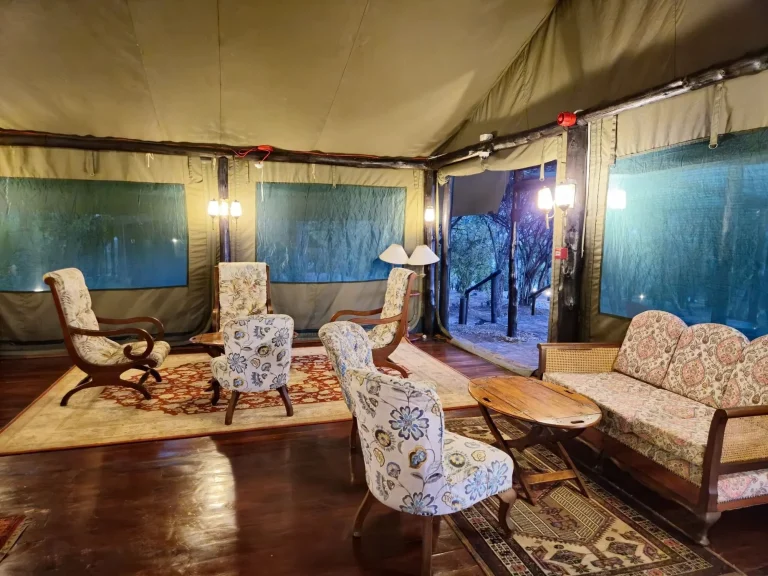 Kirawira Serena Camp โ photo 19