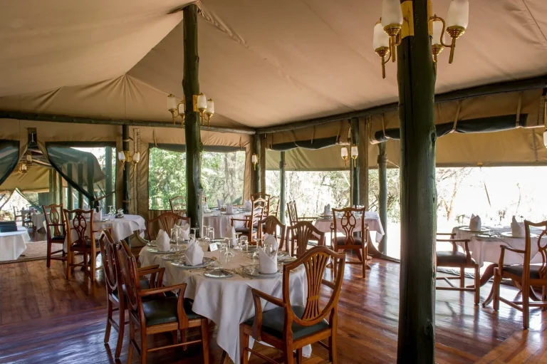 Kirawira Serena Camp โ photo 20