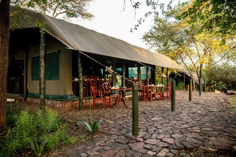 Kirawira Serena Camp โ photo 22