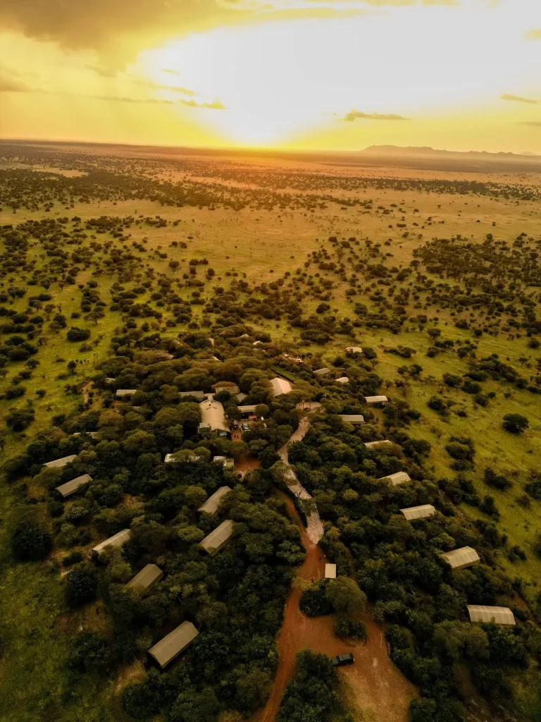 Kirawira Serena Camp โ photo 27