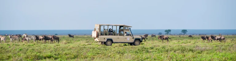Lake Ndutu Luxury Tented Lodge — photo 8