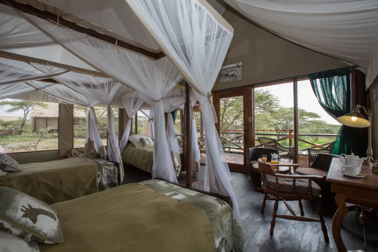 Lake Ndutu Luxury Tented Lodge — photo 49