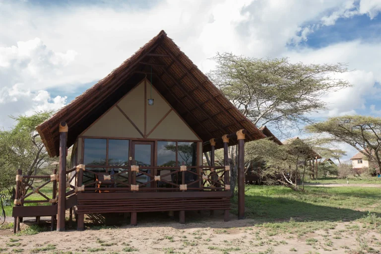 Lake Ndutu Luxury Tented Lodge — photo 50