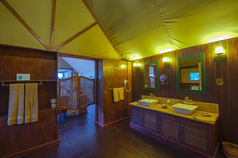 Lake Ndutu Luxury Tented Lodge — photo 51