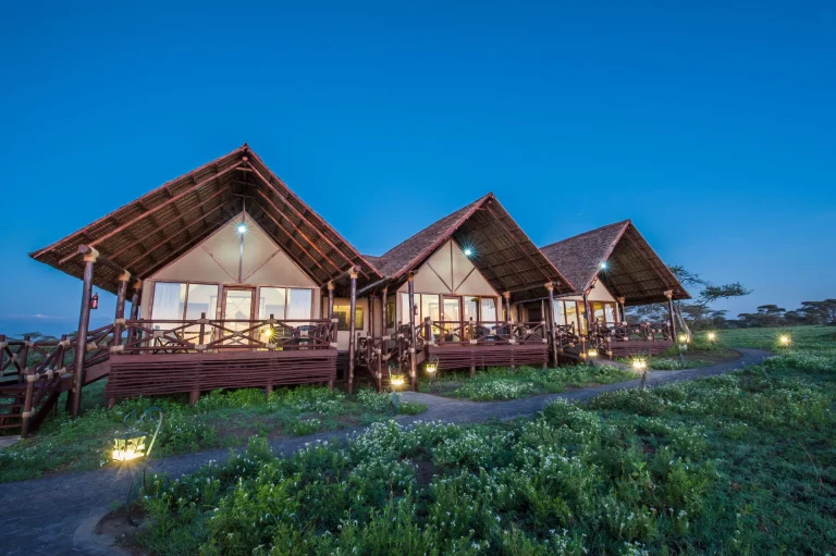 Lake Ndutu Luxury Tented Lodge — photo 53