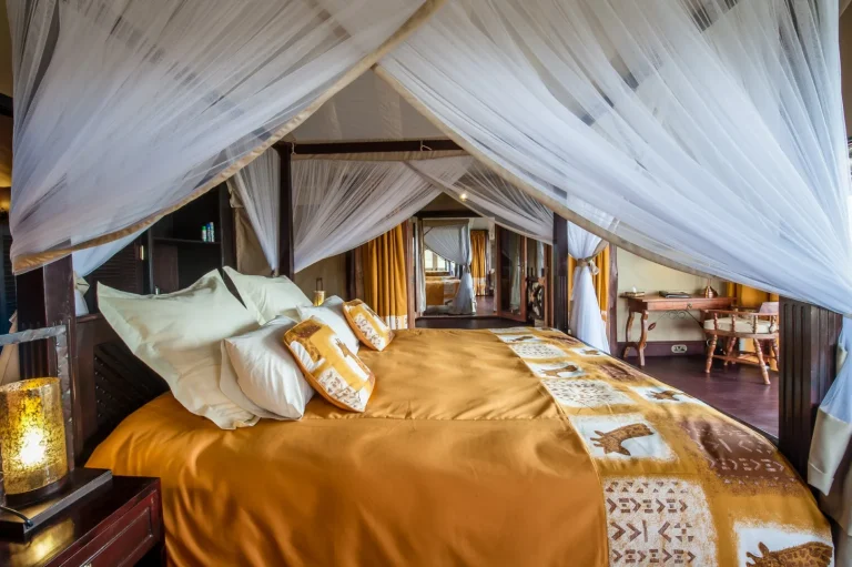 Lake Ndutu Luxury Tented Lodge — photo 56