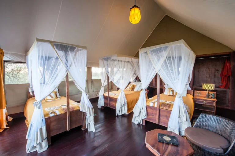 Lake Ndutu Luxury Tented Lodge — photo 57