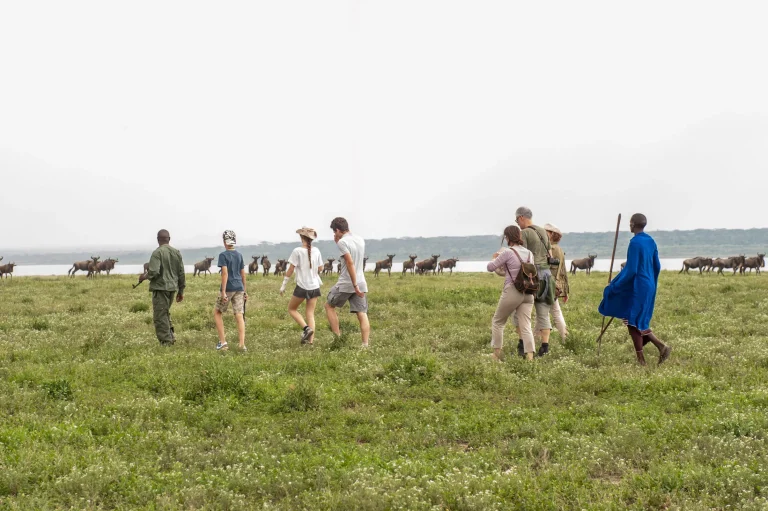 Lake Ndutu Luxury Tented Lodge — photo 63
