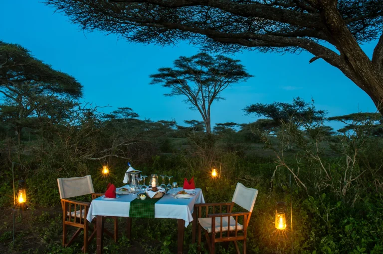 Lake Ndutu Luxury Tented Lodge — photo 66