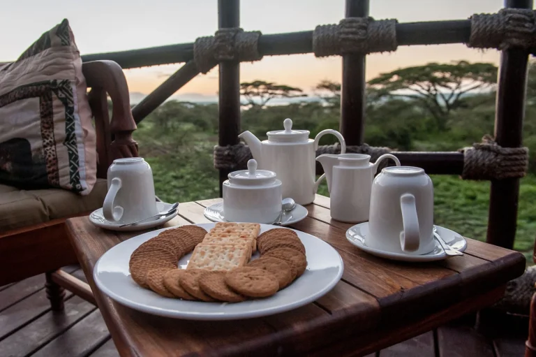 Lake Ndutu Luxury Tented Lodge — photo 73