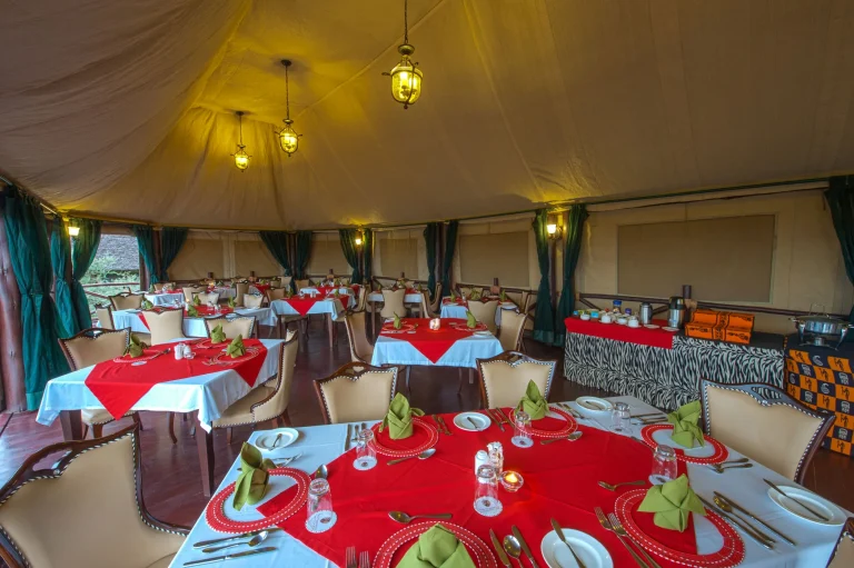 Lake Ndutu Luxury Tented Lodge — photo 75