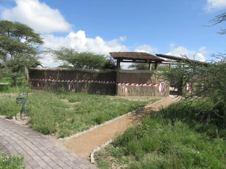 Lake Ndutu Luxury Tented Lodge — photo 78