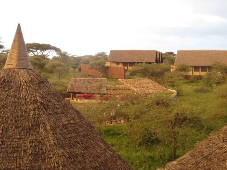 Lake Ndutu Luxury Tented Lodge — photo 79