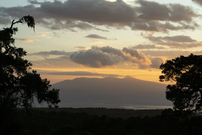 Lemala Osonjoi โ photo 2