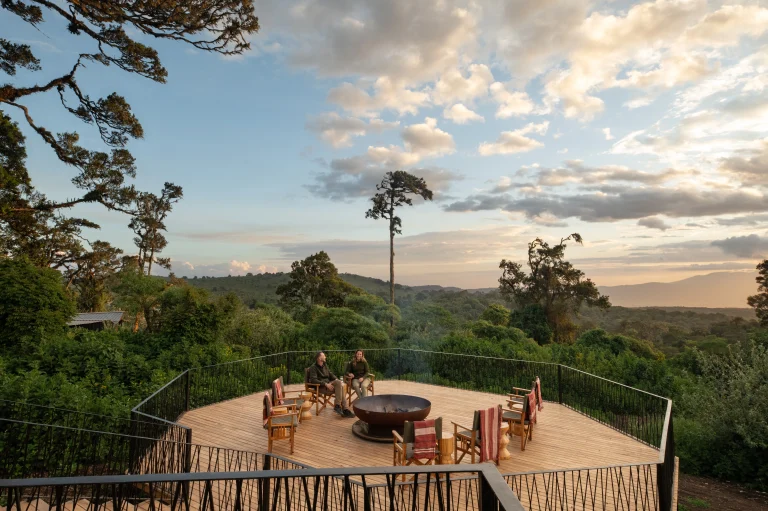 Lemala Osonjoi โ photo 4