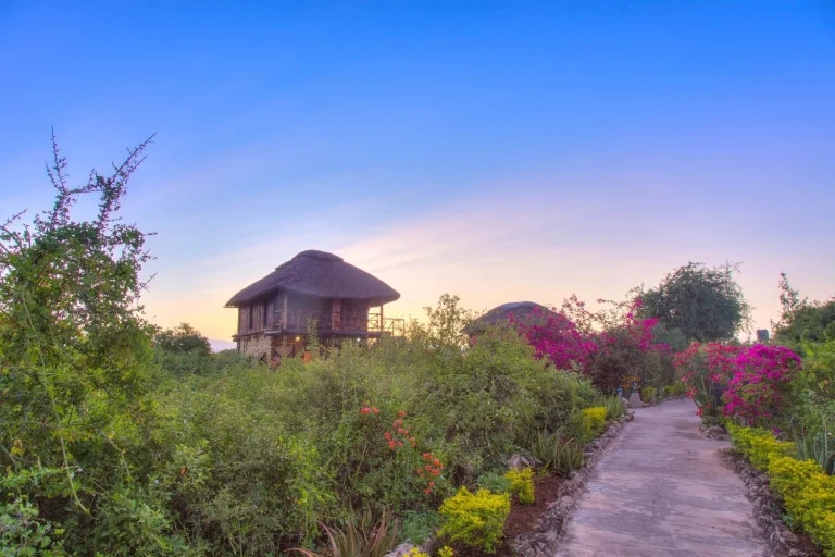Manyara Lakeview Lodge — photo 5