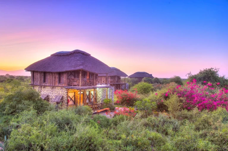 Manyara Lakeview Lodge — photo 6