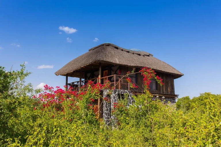Manyara Lakeview Lodge — photo 7