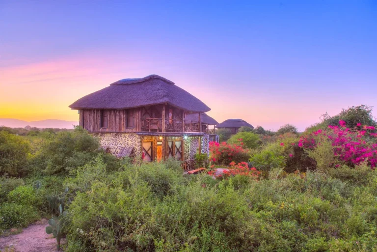 Manyara Lakeview Lodge — photo 8