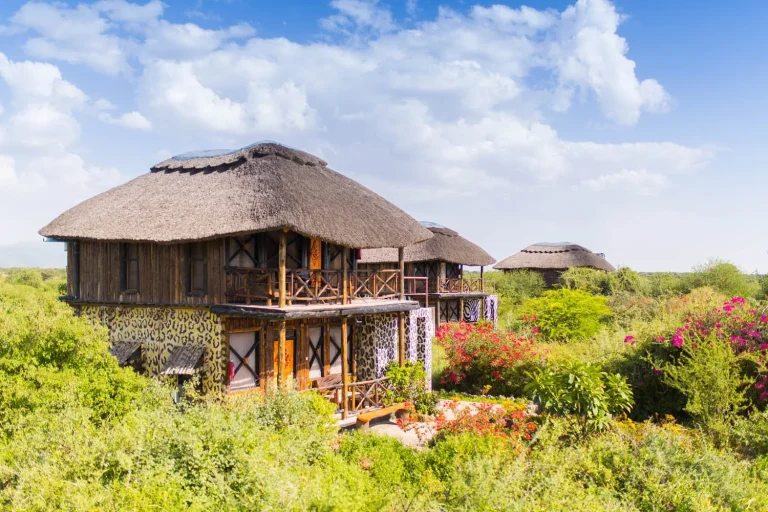 Manyara Lakeview Lodge — photo 9