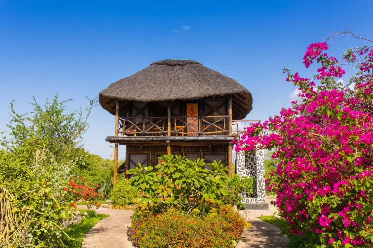 Manyara Lakeview Lodge — photo 10