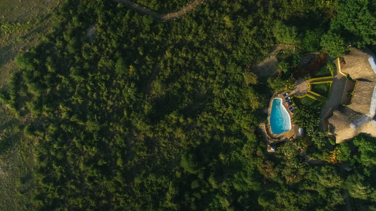 Manyara Lakeview Lodge — photo 18