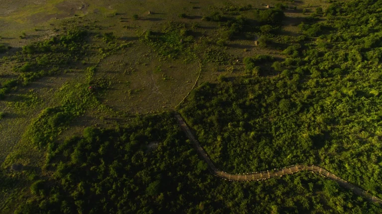 Manyara Lakeview Lodge — photo 19