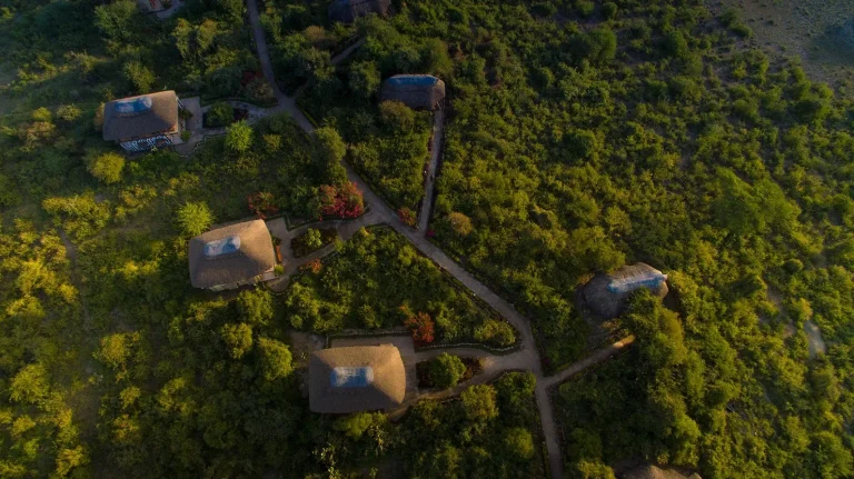 Manyara Lakeview Lodge — photo 25