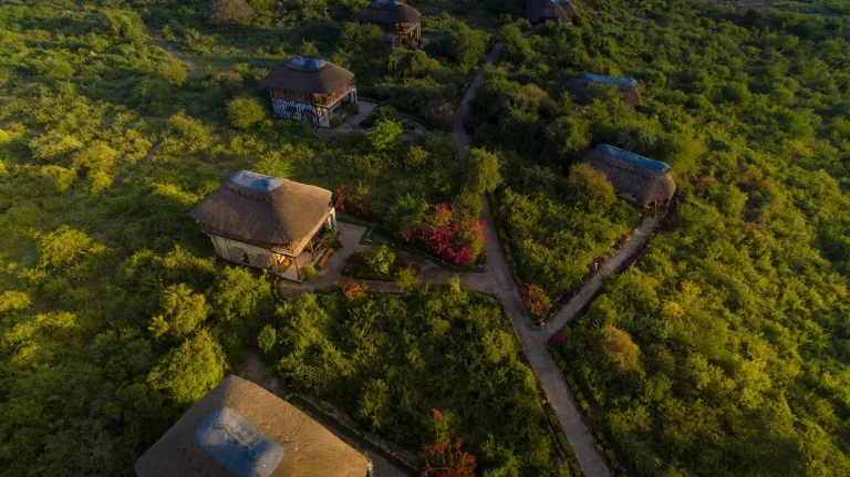 Manyara Lakeview Lodge — photo 26