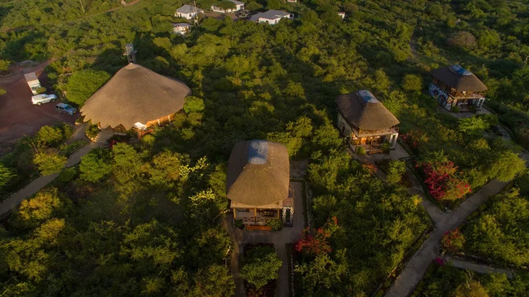Manyara Lakeview Lodge — photo 27