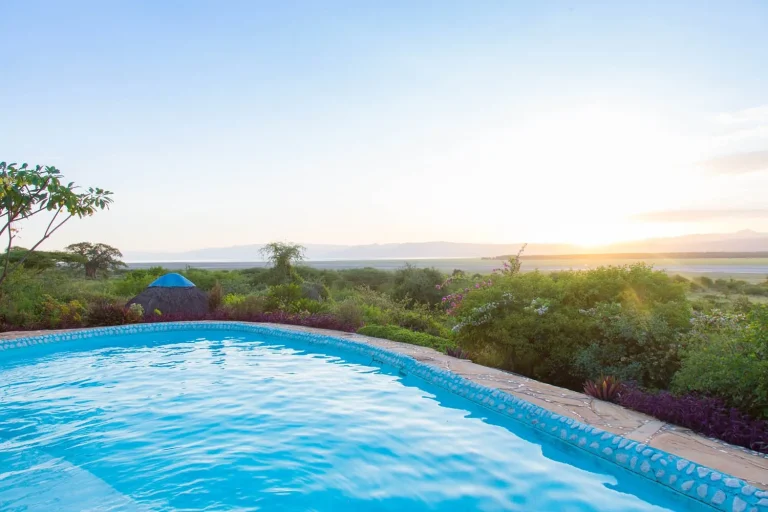 Manyara Lakeview Lodge — photo 29