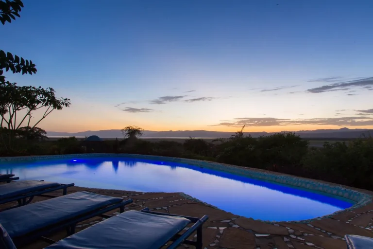 Manyara Lakeview Lodge — photo 30
