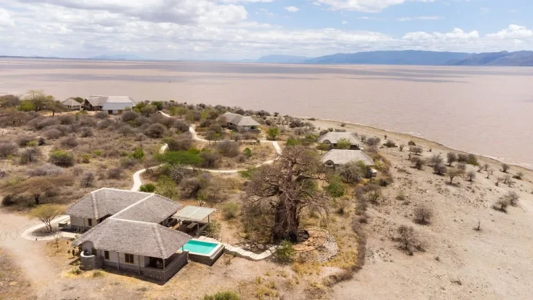 Manyara’s Secret โ photo 25