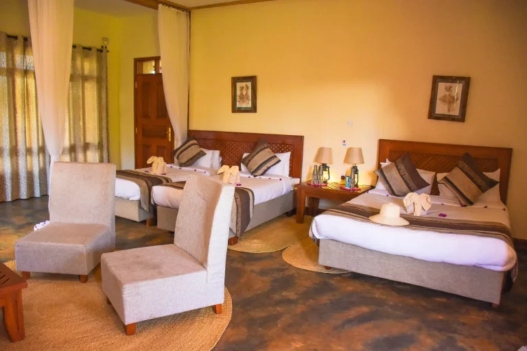 Marera Valley Lodge — photo 6