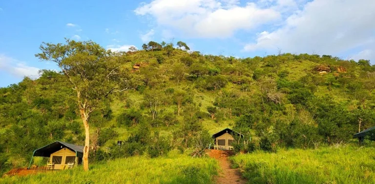 Mkomazi View Tented Camp — photo 10