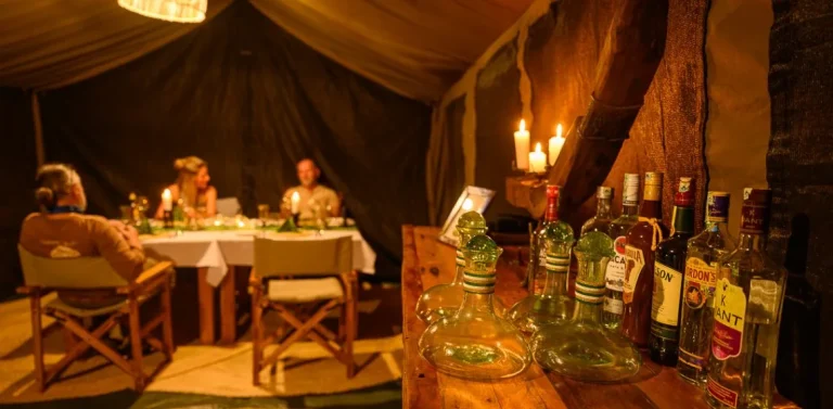 Mkomazi View Tented Camp — photo 9