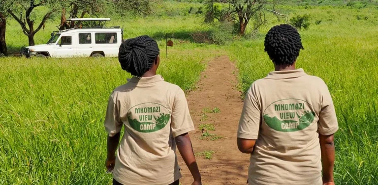 Mkomazi View Tented Camp — photo 8