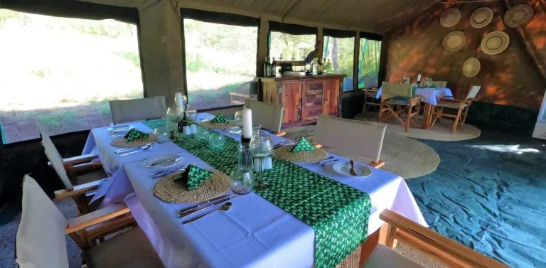 Mkomazi View Tented Camp — photo 6