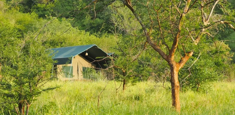 Mkomazi View Tented Camp — photo 4