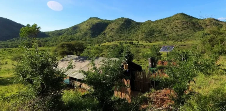 Mkomazi View Tented Camp — photo 3
