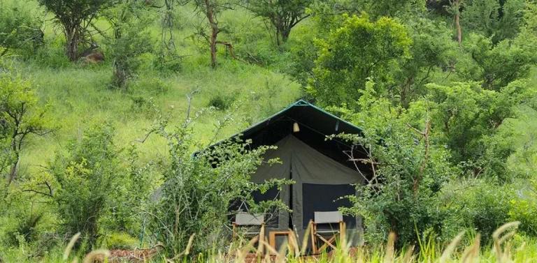 Mkomazi View Tented Camp — photo 1