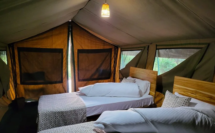 Mkomazi View Tented Camp