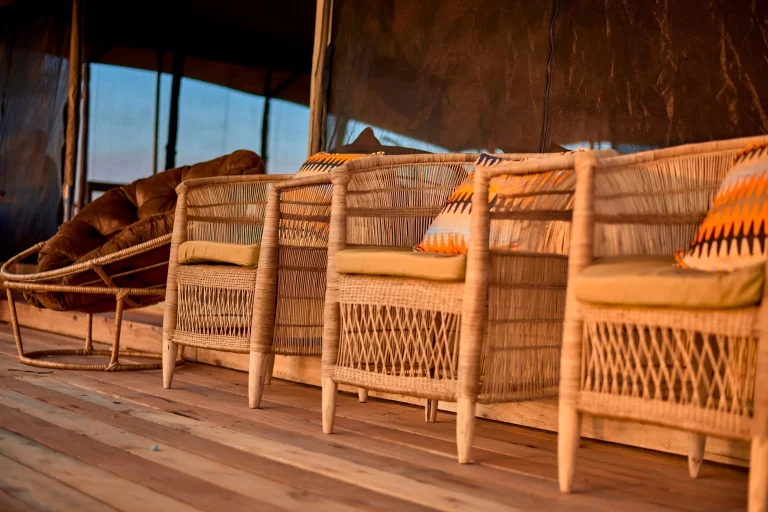Moyo Camp โ photo 1