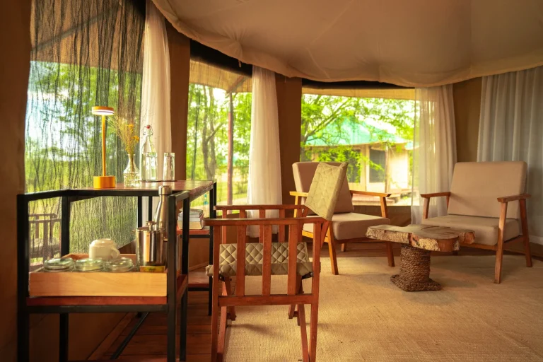Moyo Camp โ photo 2